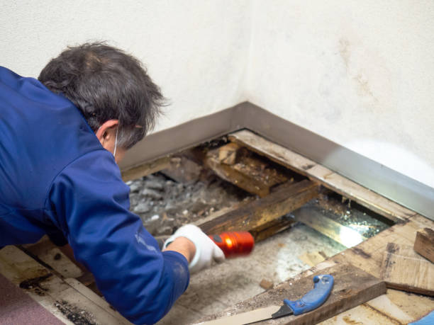 Best Post-Remediation Services in Rutgers University Livingston Campus, NJ