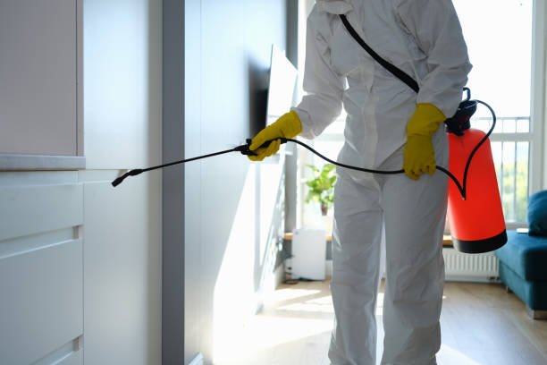 Best DIY Mold Remediation Support Services in Rutgers University Livingston Campus, NJ