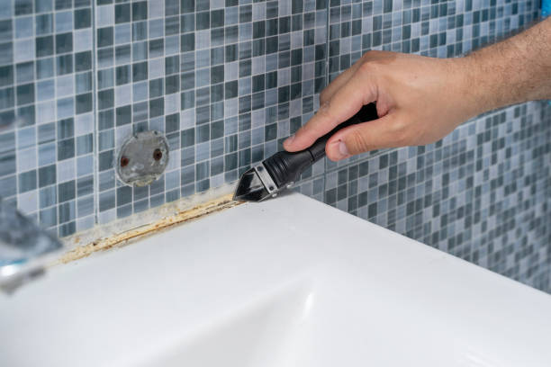 Best Residential Mold Remediation in Rutgers University Livingston Campus, NJ