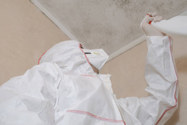 Best Health and Safety Mold Remediation in Rutgers University Livingston Campus, NJ