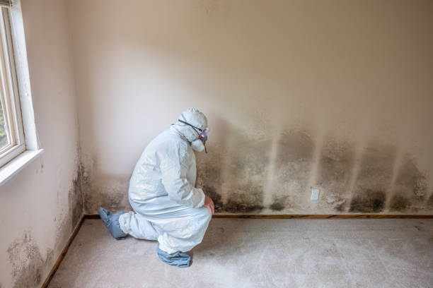 Best HVAC Mold Remediation in Rutgers University Livingston Campus, NJ