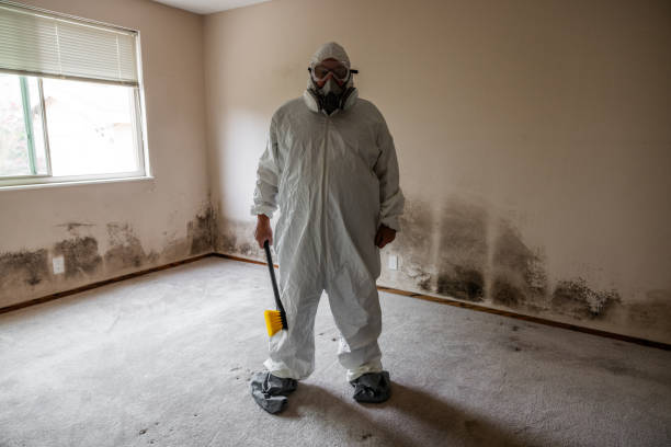 Reliable Rutgers University Livingston Campus, NJ Mold Remediation Solutions