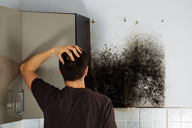 Best Bathroom Mold Remediation in Rutgers University Livingston Campus, NJ